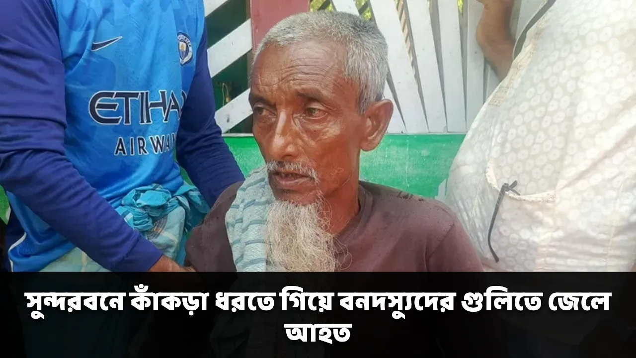 সুন্দরবনে কাঁকড়া ধরতে গিয়ে বনদস্যুদের গুলিতে জেলে আহত