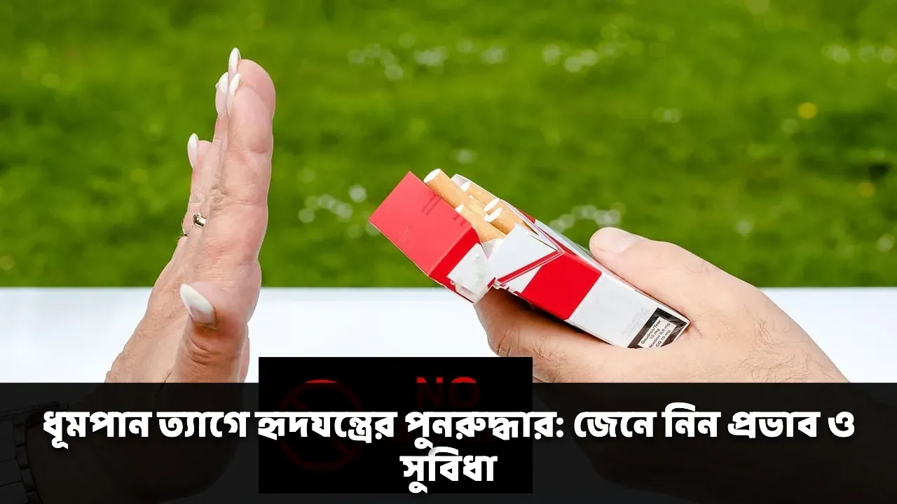 ধূমপান ত্যাগে হৃদযন্ত্রের পুনরুদ্ধার: জেনে নিন প্রভাব ও সুবিধা