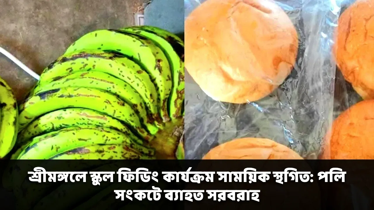 শ্রীমঙ্গলে স্কুল ফিডিং কার্যক্রম সাময়িক স্থগিত: পলি সংকটে ব্যাহত সরবরাহ
