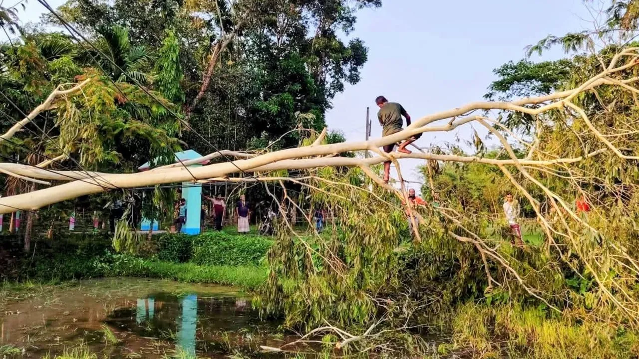 কালবৈশাখী ঝড়ে লণ্ডভণ্ড সন্দ্বীপের বিদ্যুৎ ব্যবস্থা, জনজীবনে চরম ভোগান্তি