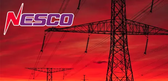 NESCO-তে এক্সিকিউটিভ ডিরেক্টর (ফাইন্যান্স) পদে নিয়োগ: ১৮ বছরের অভিজ্ঞতা আবশ্যক