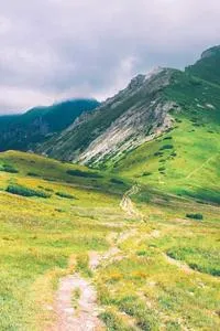 আবর্জনা থেকে মুক্তি: সঠিক বর্জ্য ব্যবস্থাপনা, পুনর্ব্যবহার এবং প্লাস্টিক কমানোর সহজ উপায়