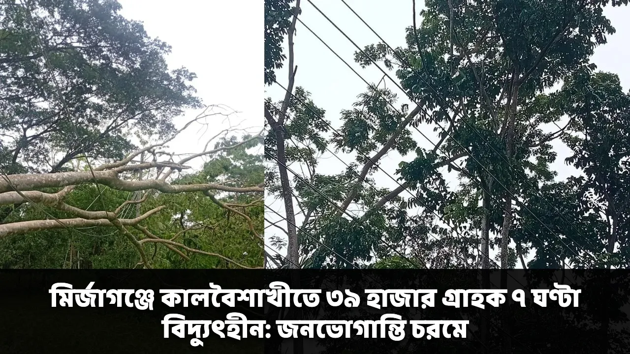 মির্জাগঞ্জে কালবৈশাখীতে ৩৯ হাজার গ্রাহক ৭ ঘণ্টা বিদ্যুৎহীন: জনভোগান্তি চরমে