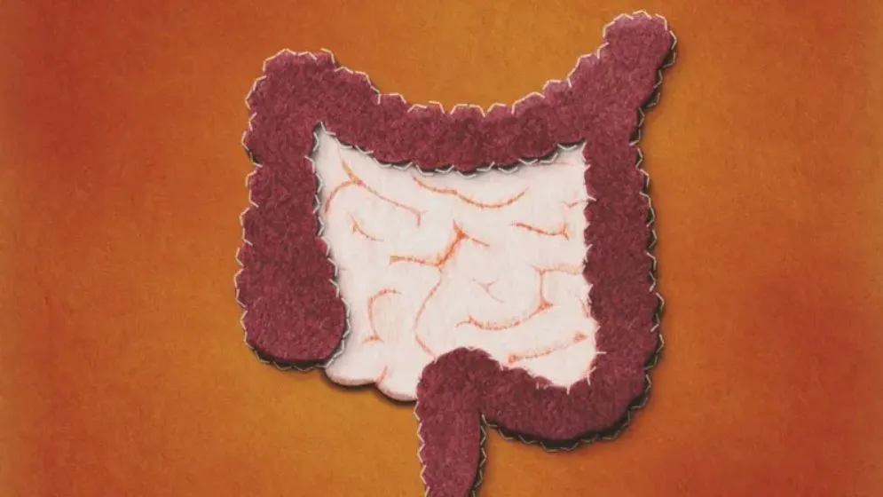 অন্ত্রের স্বাস্থ্য সুরক্ষায় ফাইবারসমৃদ্ধ ৫ খাবার: সুস্থ জীবনের চাবিকাঠি