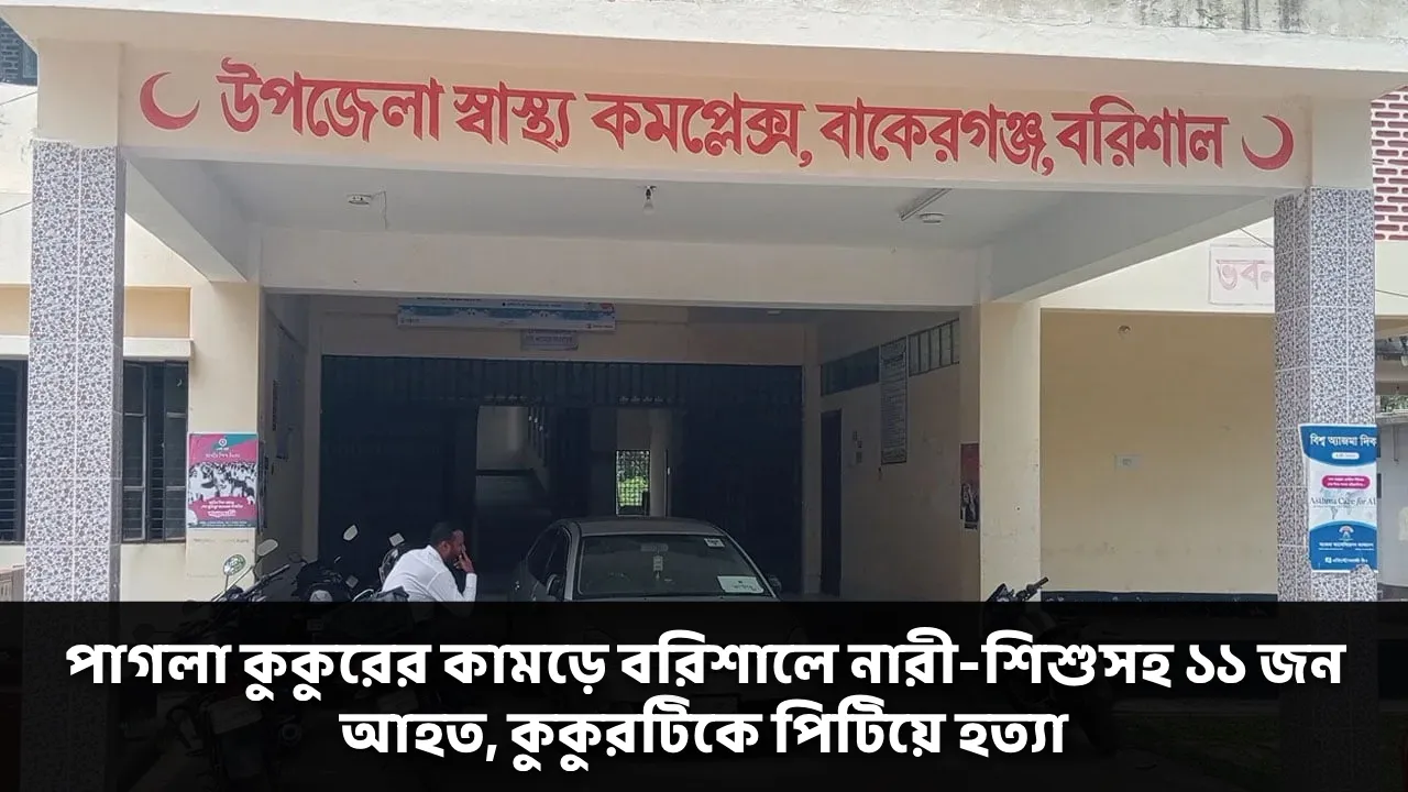 পাগলা কুকুরের কামড়ে বরিশালে নারী-শিশুসহ ১১ জন আহত, কুকুরটিকে পিটিয়ে হত্যা
