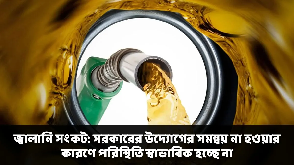 জ্বালানি সংকট: সরকারের উদ্যোগের সমন্বয় না হওয়ার কারণে পরিস্থিতি স্বাভাবিক হচ্ছে না