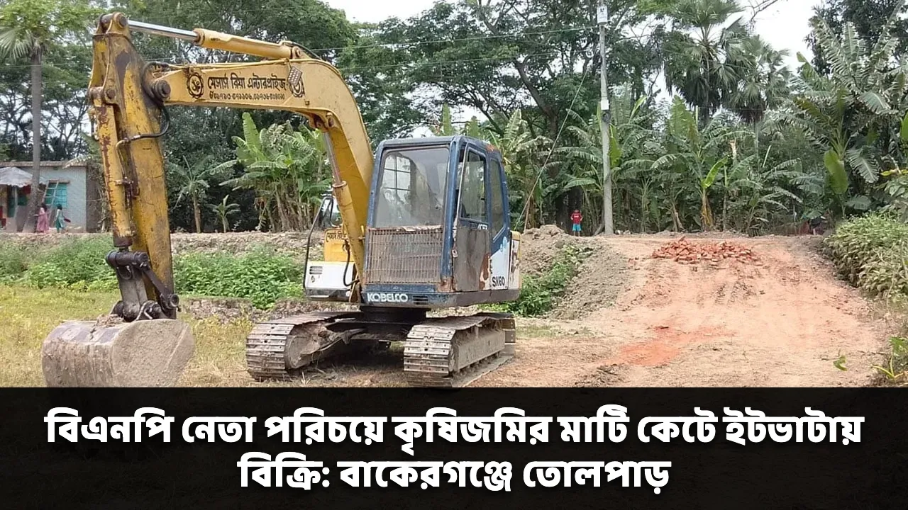 বিএনপি নেতা পরিচয়ে কৃষিজমির মাটি কেটে ইটভাটায় বিক্রি: বাকেরগঞ্জে তোলপাড়