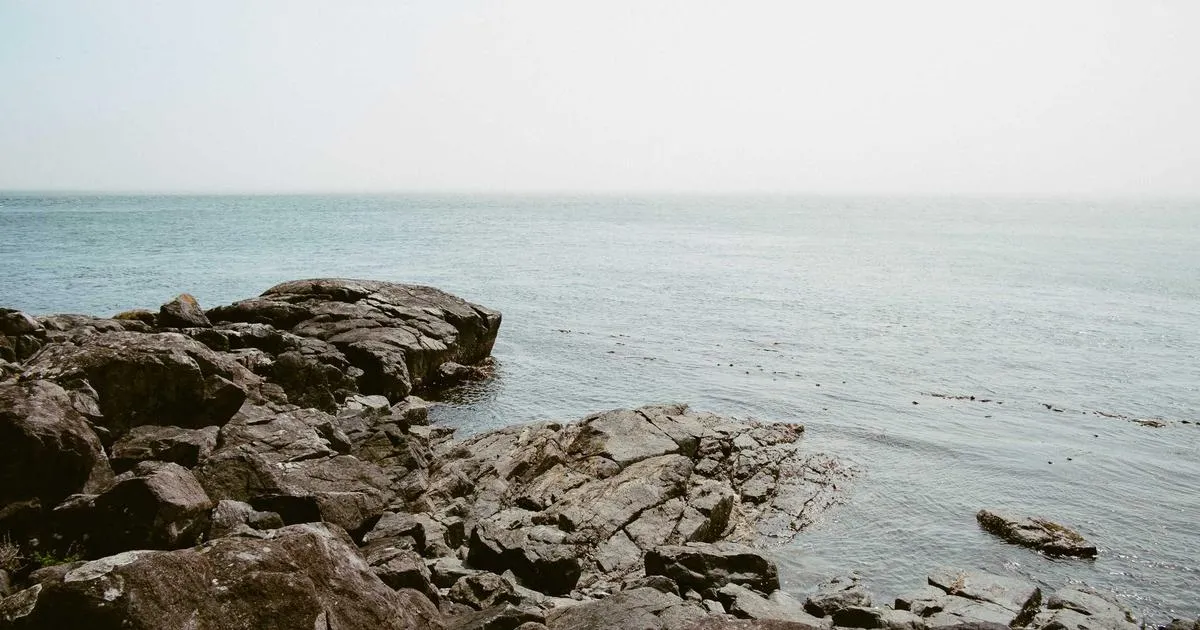 আপনার অধিকার জানুন, বিশ্বকে বদলে দিন: বাক স্বাধীনতা, সমতা ও ন্যায়বিচারের শক্তি!