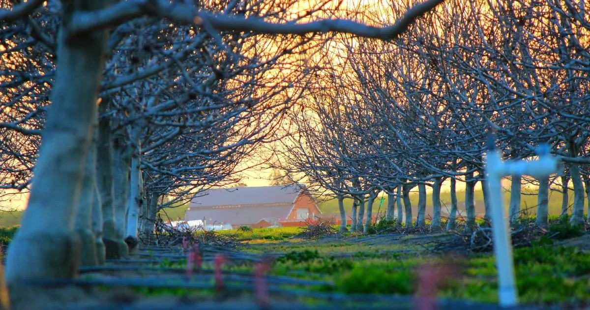 āύāĻŦāĻŦāϰā§āώā§āϰ āĻāϞā§ā§ āĻāĻĻā§āĻāĻžāϏāĻŋāϤ āĻšā§āĻ āĻā§āĻŦāύ: āĻāϤāĻŋāĻšā§āϝāĻŦāĻžāĻšā§ āĻŦāĻžāĻāϞāĻž āύāĻŦāĻŦāϰā§āώ āĻāĻĻāϝāĻžāĻĒāύā§āϰ āϏāĻŽā§āĻĒā§āϰā§āĻŖ āĻāĻžāĻāĻĄ