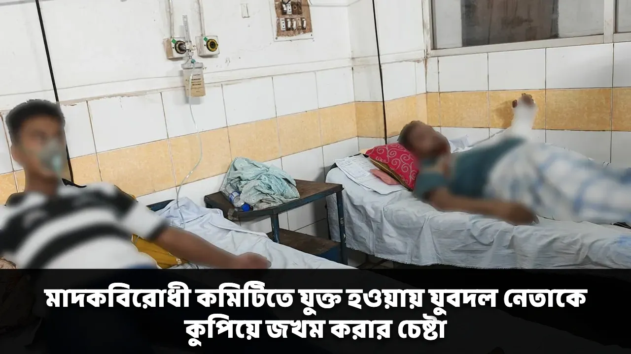 মাদকবিরোধী কমিটিতে যুক্ত হওয়ায় যুবদল নেতাকে কুপিয়ে জখম করার চেষ্টা