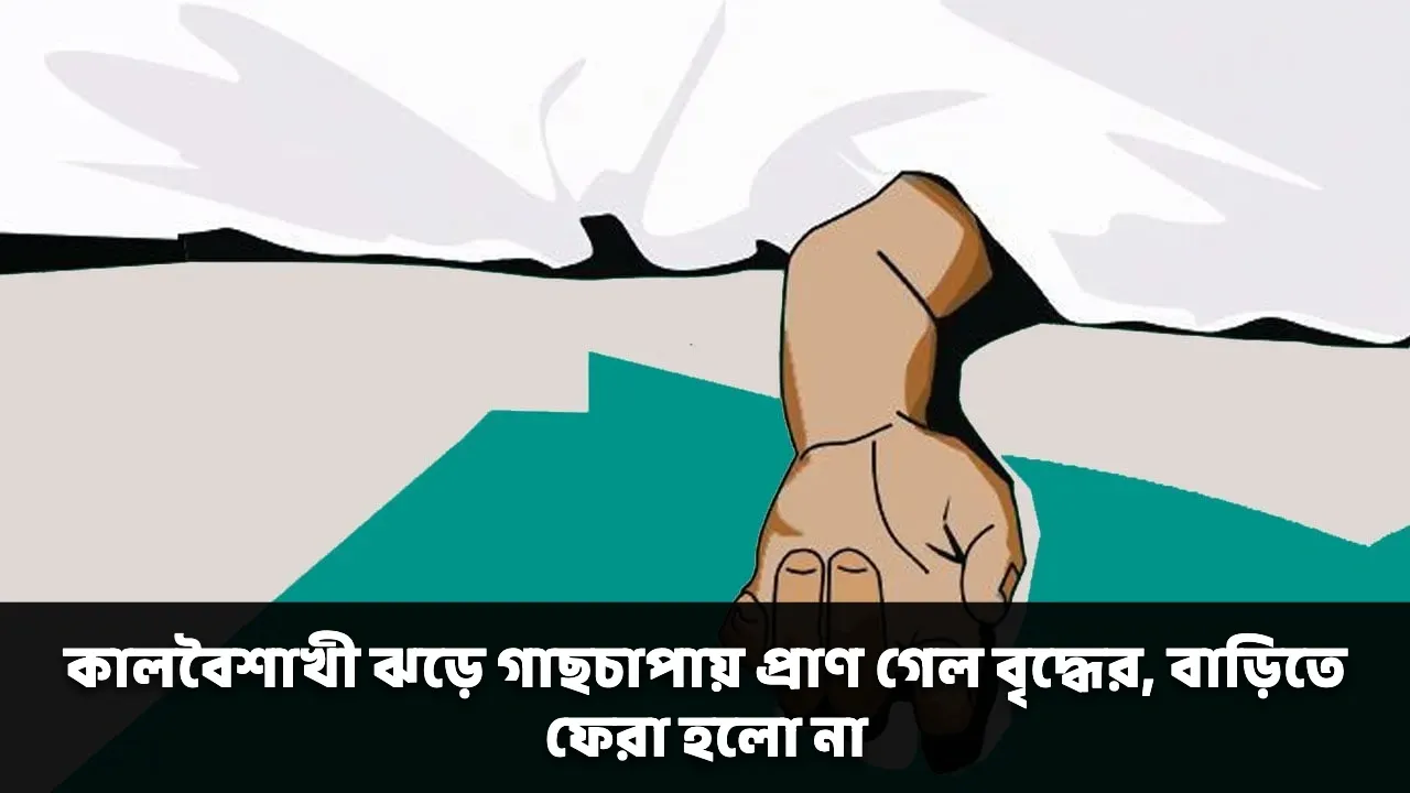 কালবৈশাখী ঝড়ে গাছচাপায় প্রাণ গেল বৃদ্ধের, বাড়িতে ফেরা হলো না