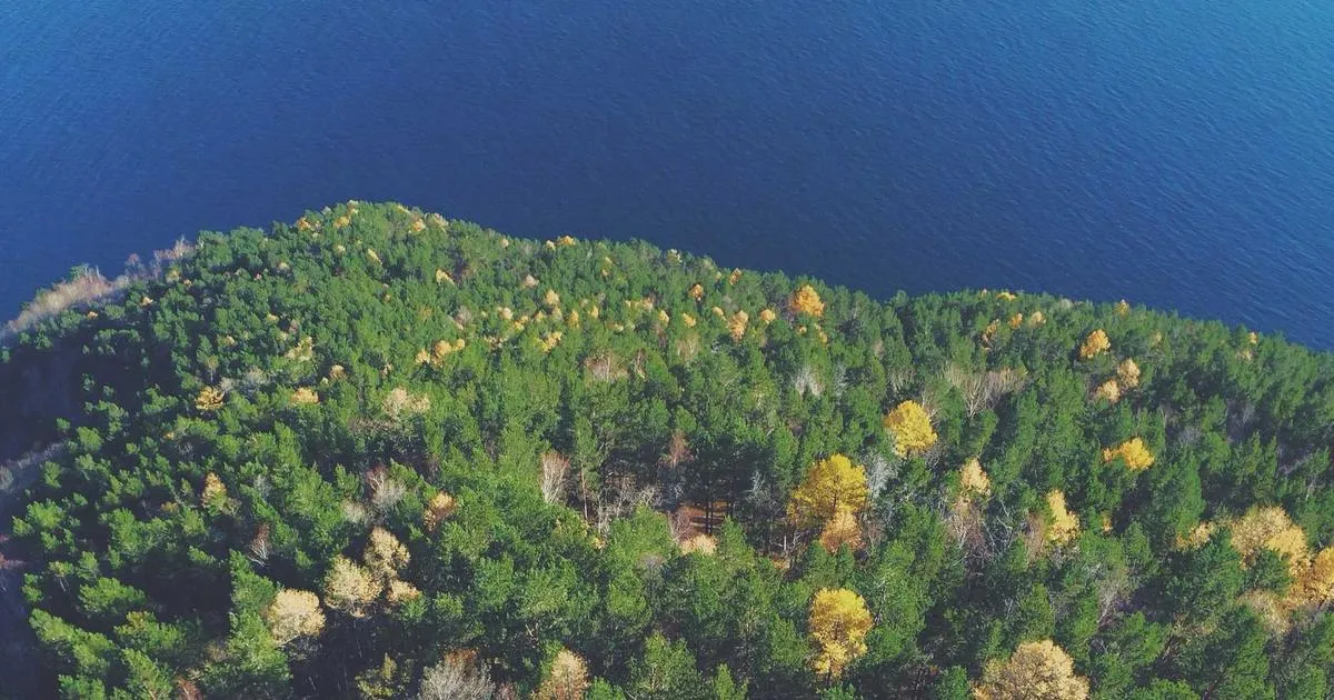 প্রত্যেক শিশুর জন্য শিক্ষার আলো: প্রান্তিক জনগোষ্ঠীর শিশুদের সমানাধিকারের লড়াই