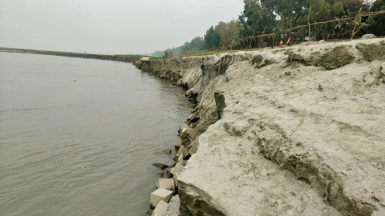 যমুনার ভাঙনে চৌহালীর শতকোটি টাকার বাঁধ হুমকির মুখে: বাল্কহেড বন্ধের দাবিতে বিক্ষোভ